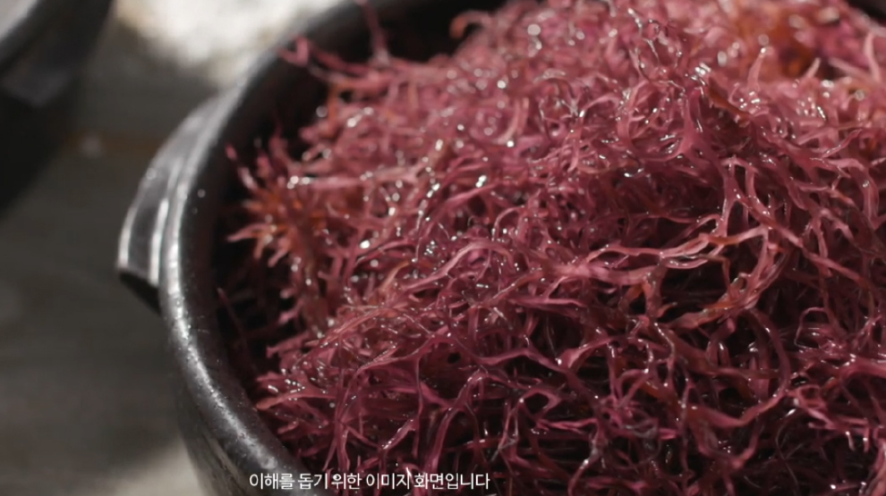 SUNHO FOOD